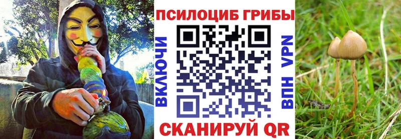Галлюциногенные грибы Psilocybe  что такое наркотик  Тутаев 