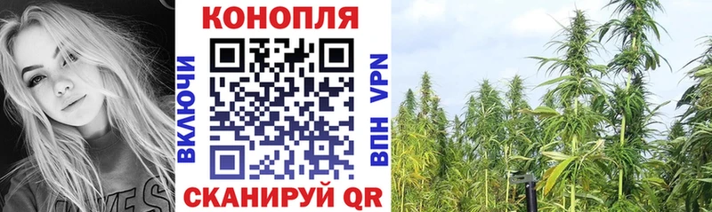 даркнет сайт  Тутаев  Конопля OG Kush 